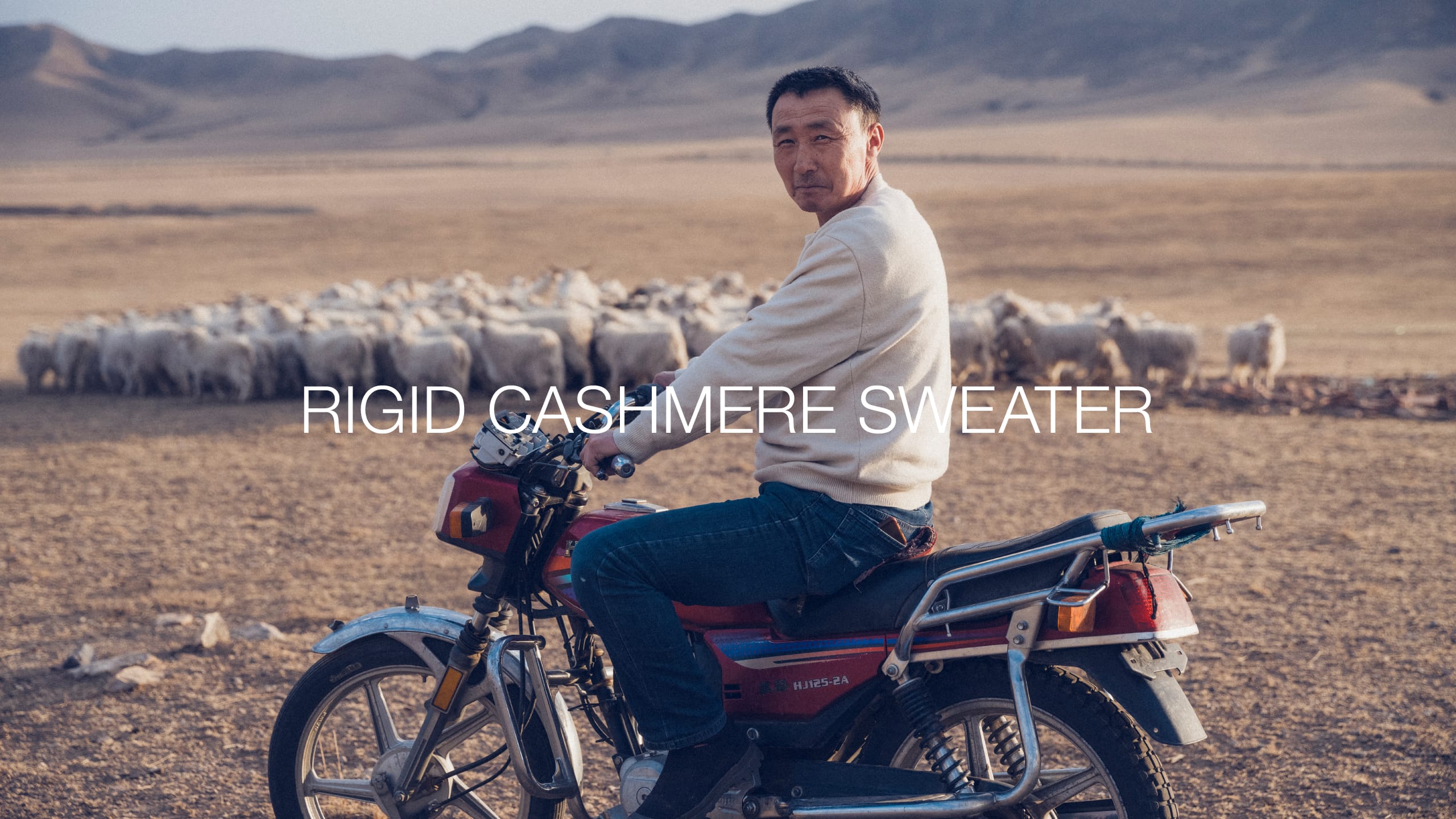 RIGID CASHMERE SWEATER